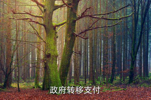 為什么政府提供實物轉(zhuǎn)移支付，一個國家為什么要執(zhí)行轉(zhuǎn)移支付制度