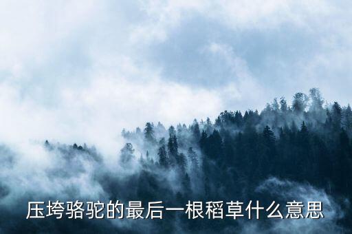 壓垮駱駝的最后一根稻草什么意思，壓死駱駝的最后一根稻草意味著什么