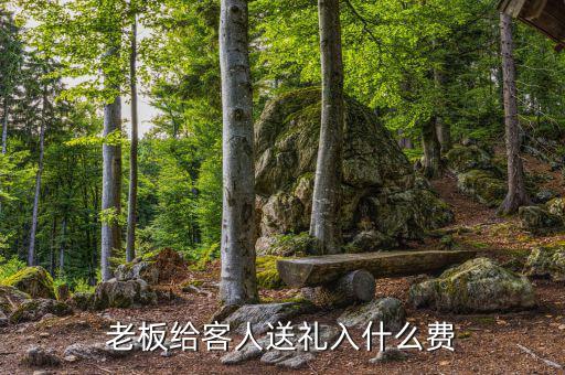 送禮進(jìn)什么費(fèi)用，老板給客人送禮入什么費(fèi)