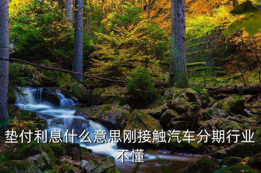 墊付利息是什么意思，紅利保險會自動墊付期間會出利息