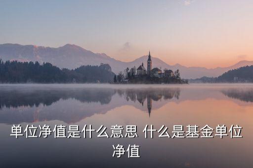 單位凈值什么意思，單位凈值是什么意思
