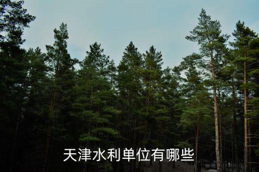 中水致遠(yuǎn)屬于什么單位性質(zhì)，天津水利單位有哪些