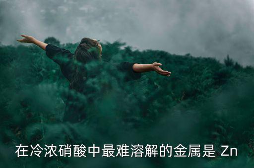 什么金屬易融難化，最不容易融化的金屬是什么想對(duì)來(lái)說(shuō)便宜一點(diǎn)的是什么