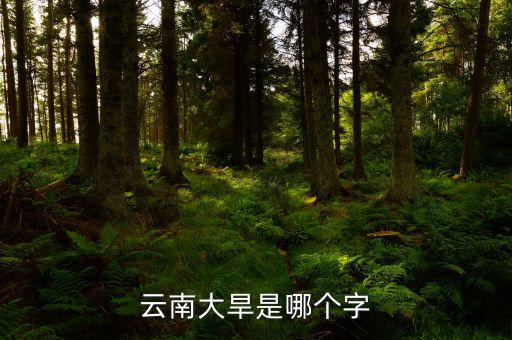 云南大旱是個(gè)什么字，云南大旱是哪個(gè)字