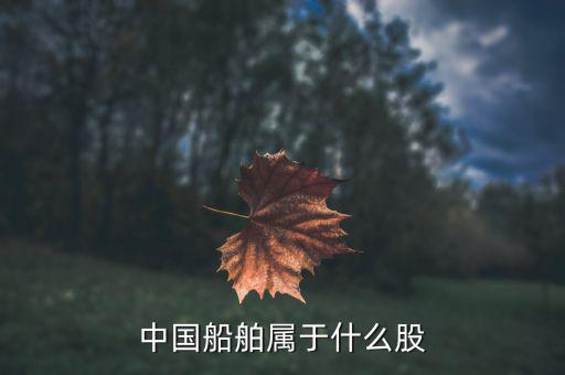 中國船舶是什么板塊，中國船舶原始股每股多少人民幣