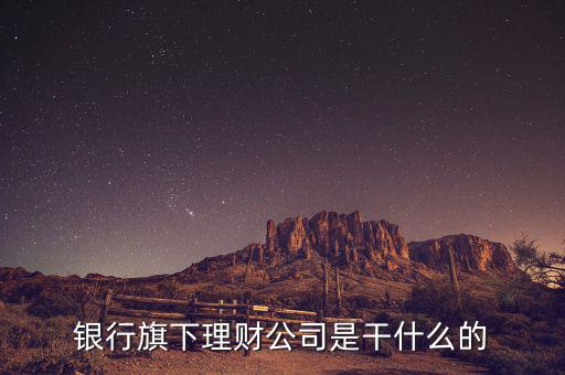 理財(cái)公司經(jīng)主要做什么，理財(cái)經(jīng)理是一般做什么
