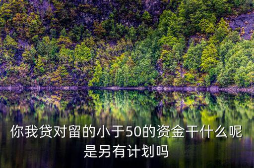 你我貸為什么我要投2萬才能減50，你我貸對留的小于50的資金干什么呢是另有計劃嗎