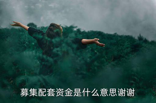 配股募資是什么意思，配股是什么意思啊