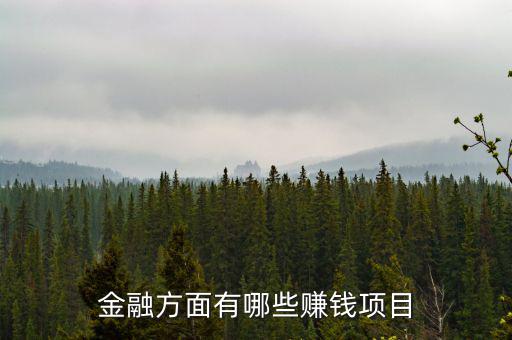 金融里什么賺錢，金融方面有哪些賺錢項目