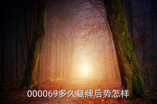 大洲興業(yè)什么時候復(fù)牌，000560各位大神知道啥時候復(fù)牌
