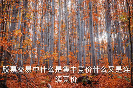 集合競價(jià)是什么意思，股票交易中什么是集中競價(jià)什么又是連續(xù)競價(jià)
