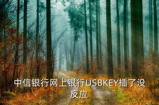 中信銀行插卡消費(fèi)為什么沒有反應(yīng)，中信網(wǎng)銀USBKEY插上沒反應(yīng)怎么回事求大神幫助