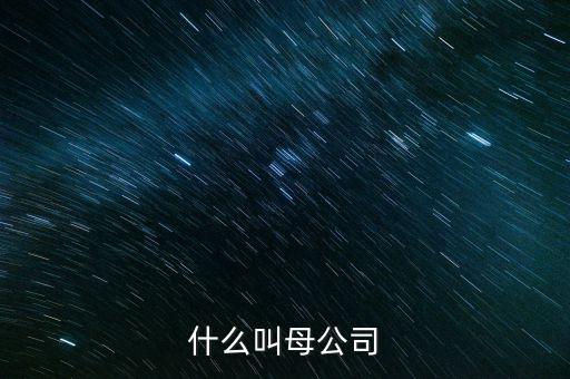 財務(wù)報告中母公司是什么意思，財務(wù)報表中的合并與母公司是什么意思