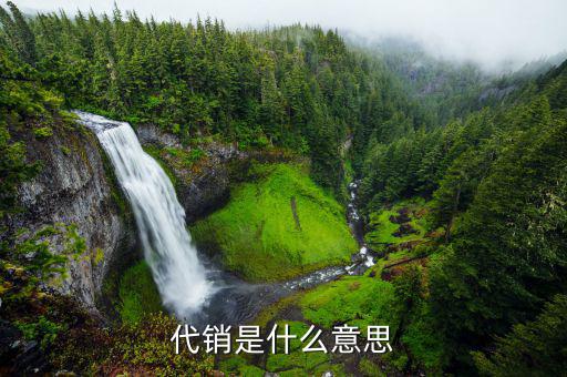 什么是代銷公司，什么叫做代銷啊有沒有拿到顧客的錢再付款的比較好的代銷公司