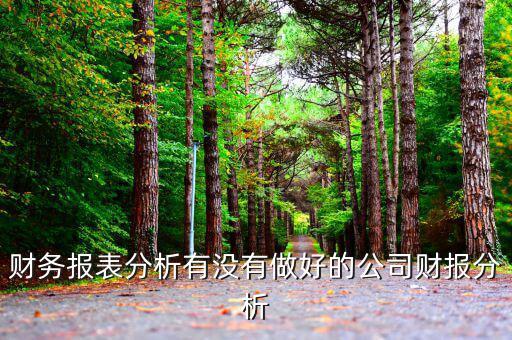初學(xué)者財(cái)務(wù)分析分析什么公司，投資公司財(cái)務(wù)分析范文