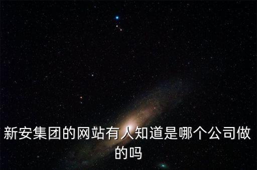 新安股份做什么的，新安集團的網(wǎng)站有人知道是哪個公司做的嗎