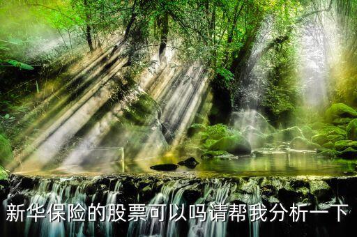 新華保險為什么股票漲這么多，新華保險的股票可以嗎請幫我分析一下
