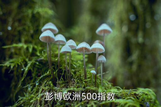 彭博商品指數(shù)是什么，彭博歐洲500指數(shù)