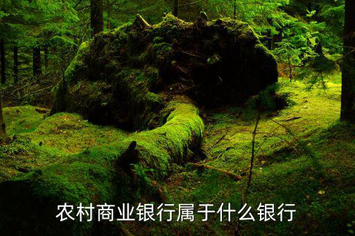 農(nóng)商行屬于什么銀行，農(nóng)商行屬于什么銀行