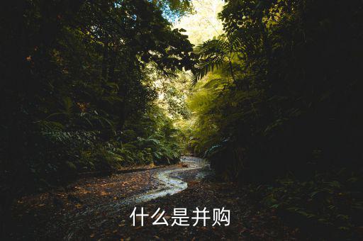 什么叫并購(gòu)，什么是并購(gòu)