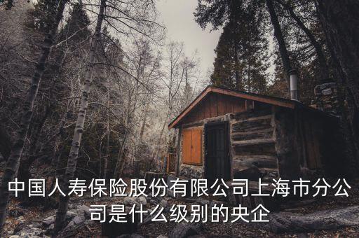 市屬國企是什么級別，省屬和市屬企業(yè)的界定標(biāo)準(zhǔn)是什么