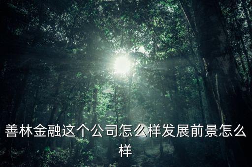 善林公司經(jīng)營(yíng)什么，善林金融這個(gè)公司怎么樣發(fā)展前景怎么樣