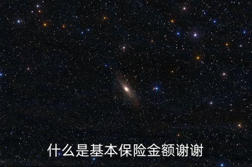 什么叫基本保險金額，基本保險金額是什么意思