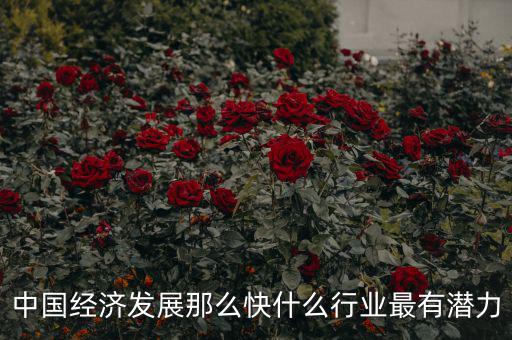 中國經濟發(fā)展那么快什么行業(yè)最有潛力