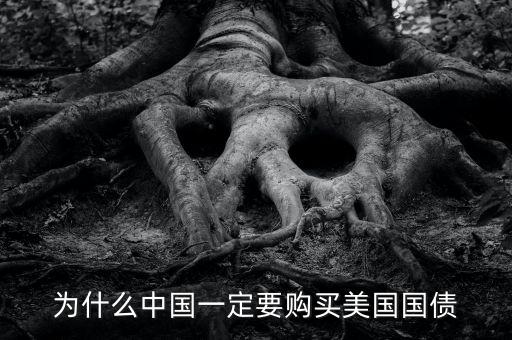中國(guó)為什么買(mǎi)美國(guó)的國(guó)債，中國(guó)為什么要買(mǎi)那么多美國(guó)國(guó)債能不能說(shuō)得通俗一點(diǎn)我不太懂經(jīng)濟(jì)