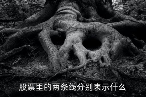 股票伴侶線代表什么，股票行情圖線的意義