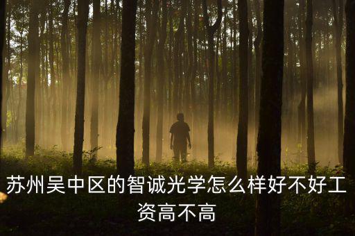 智誠光學里面主要生產(chǎn)什么，蘇州智誠光學公司怎么樣