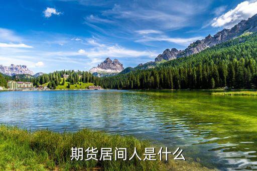 期貨居間人干什么的，期貨居間人是什么