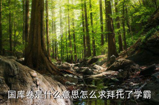 國(guó)庫(kù)卷什么意思，國(guó)庫(kù)卷是什么意思怎么求拜托了學(xué)霸