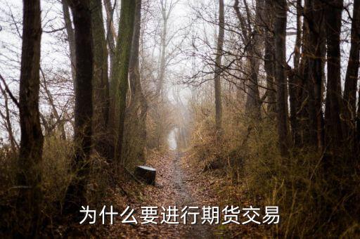 為什么國內(nèi)期貨，為什么要做期貨投資