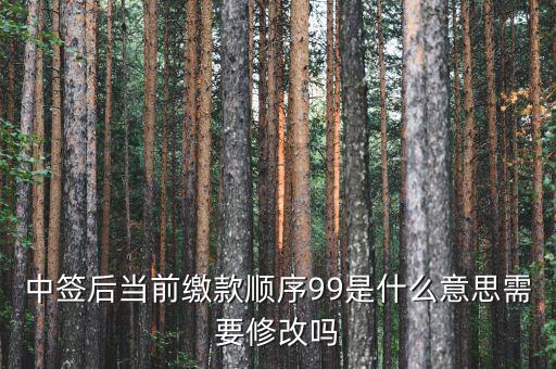 繳款順序99是什么意思，99是什么意思
