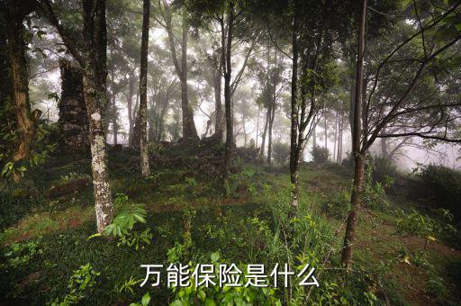 萬能壽險是什么意思，萬能保險是什么