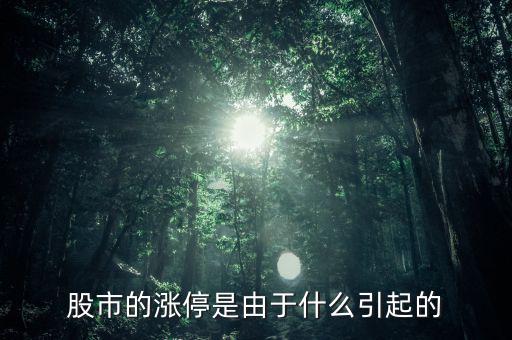 股票漲停跟什么有關(guān)系，股票開盤就漲停受什么因素影響能否具體回答