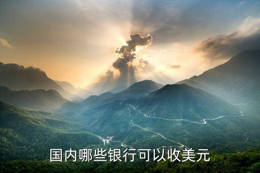什么銀行收美金硬幣，國內哪些銀行可以收美元