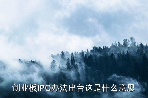 創(chuàng)業(yè)板ipo是什么意思，什么是創(chuàng)業(yè)板IPO泡沫