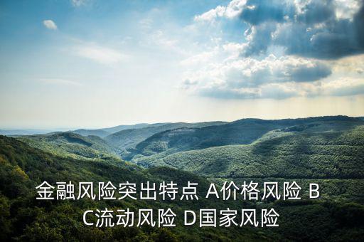 金融風(fēng)險(xiǎn)有什么特征，試述國(guó)際金融風(fēng)險(xiǎn)的特征