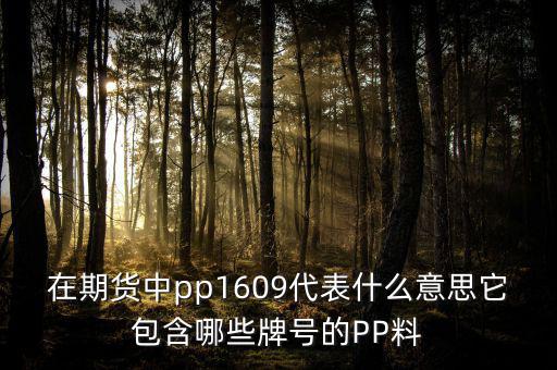 大商所的塑料指數是什么意思，請問在同花順期貨軟件中的塑料指數I888反而我在大商所卻找不到了