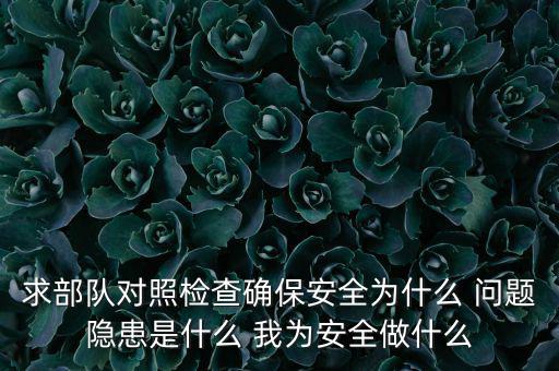 求部隊(duì)對(duì)照檢查確保安全為什么 問題隱患是什么 我為安全做什么