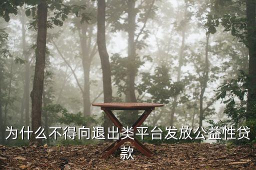什么是退出類融資平臺(tái)，為什么不得向退出類平臺(tái)發(fā)放公益性貸款