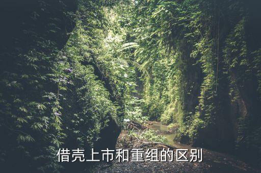 什么是借殼重組，下殺就買怕什么借殼重組什么概念