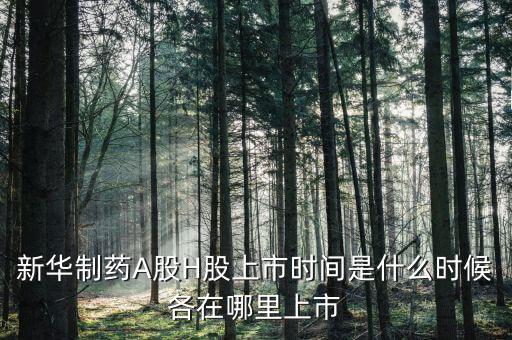 新華醫(yī)藥是什么股票，600587新華醫(yī)療2560買的最后1個(gè)交易日終究解套并小贏了請問接下來