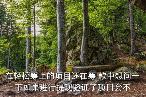 輕松籌提現(xiàn)有什么審核，輕松籌審核條件