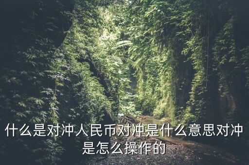 什么是基金a基金b對沖，什么是對沖人民幣對沖是什么意思對沖是怎么操作的