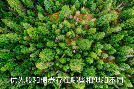 境外優(yōu)先股是什么，優(yōu)先股試點(diǎn)是什么說(shuō)的詳細(xì)點(diǎn)