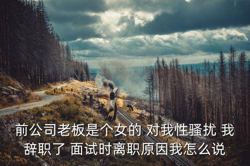 李維金為什么辭職，前公司老板是個女的 對我性騷擾 我辭職了 面試時離職原因我怎么說
