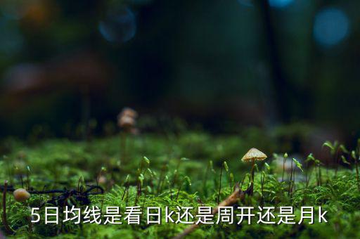 5日均線是看日k還是周開(kāi)還是月k